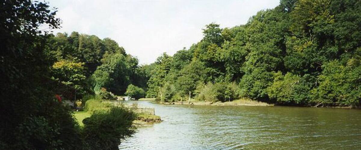 A river surrounded by dense forest, a small boat docked on the left, and a bridge in the middle distance.