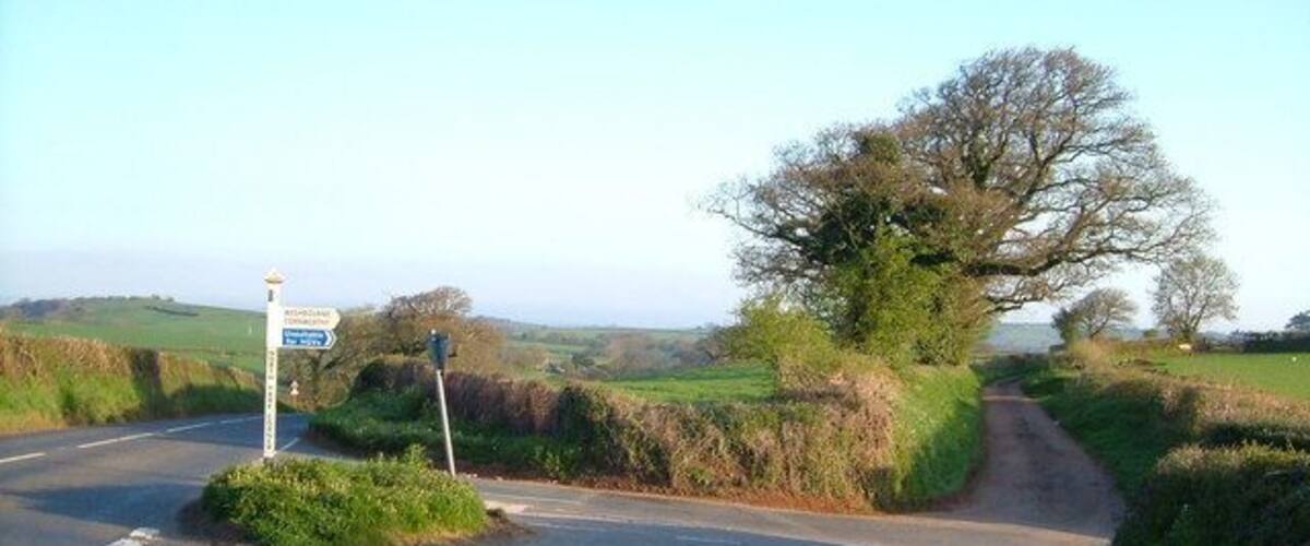 A rural road with a directional sign, a tree, and a clear sky.