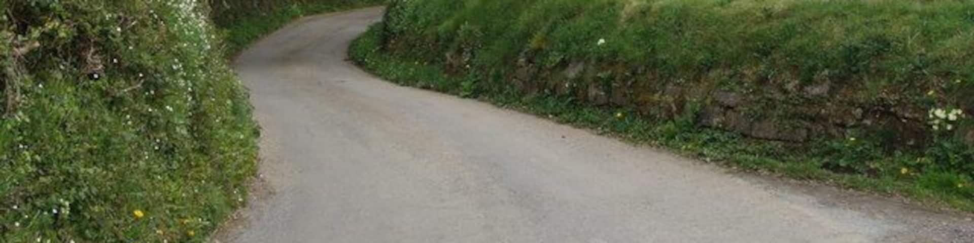 The lane past Moreleigh church