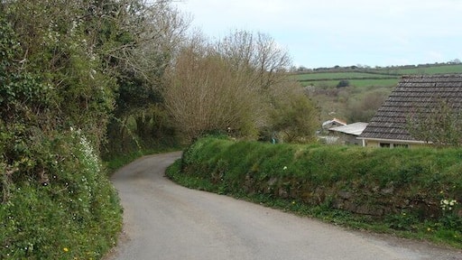The lane past Moreleigh church