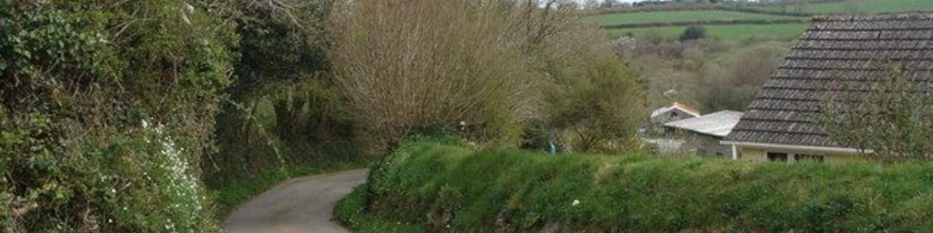 The lane past Moreleigh church