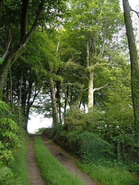 Footpath beside Wadstray House. The footpath from the lane near Cotterbury approaches the A3122 along this track between the fine trees surrounding Wadstray House, which is off to the right.