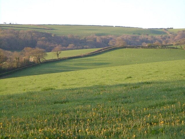 Lane from Middle Washbourne to Newhouse. The double thread of hedges, actually beyond the valley of the River Wash, marks the line of the lane. Beyond, the woods of Black Down. 7:06 am.