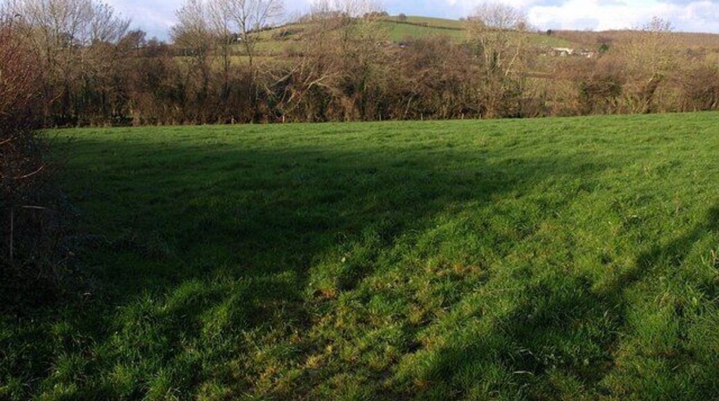 Field by Beaston Brook. The trees on the right are close to the stream, which diverges away from those in the centre. In the distance is 155901, above the tiny hamlet of Bickaton. Seen from the lane between Broadhempston and Forder Green.