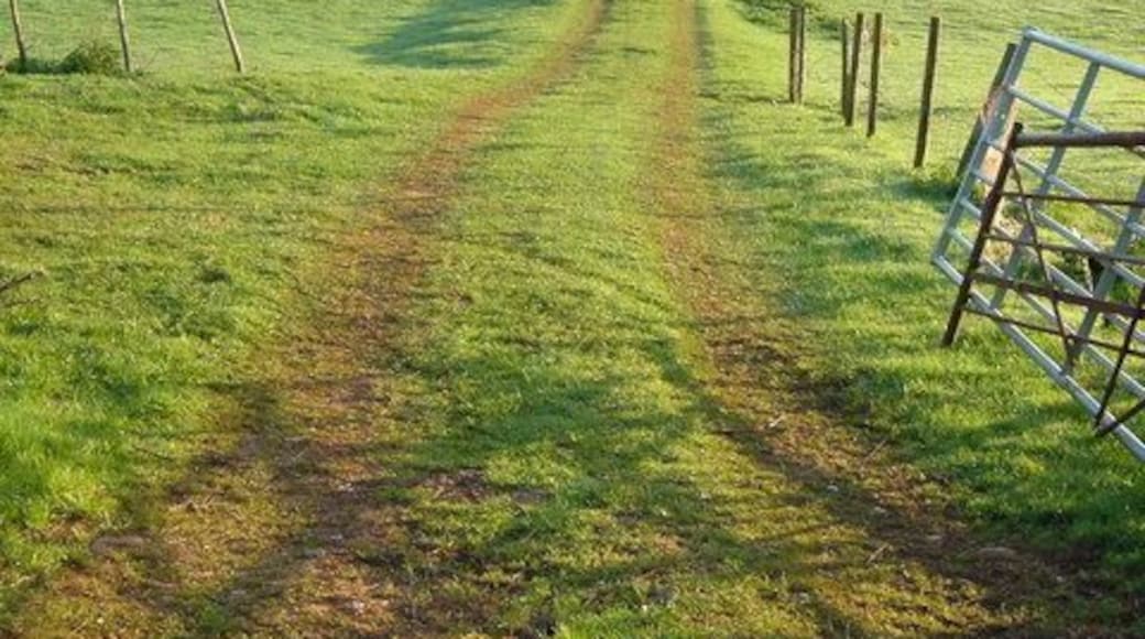 Field near Washbourne Cross. A track crosses a field beside the lane from North Park Corner to Middle Washbourne. 6:57 am.
