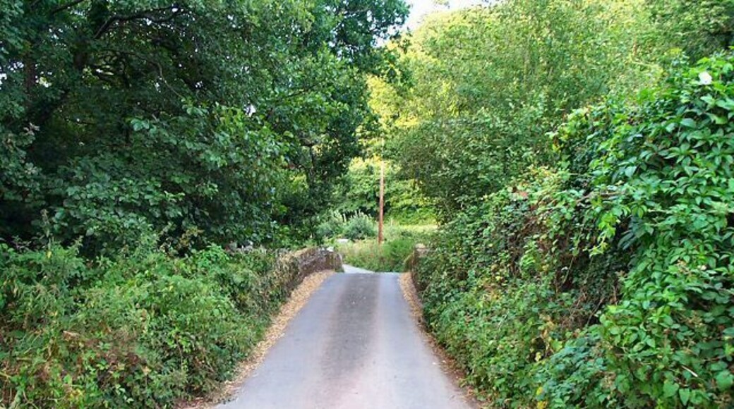 Bridge near Harberton - South Hams. A small road bridge over the Harbourne river just west of Harberton.