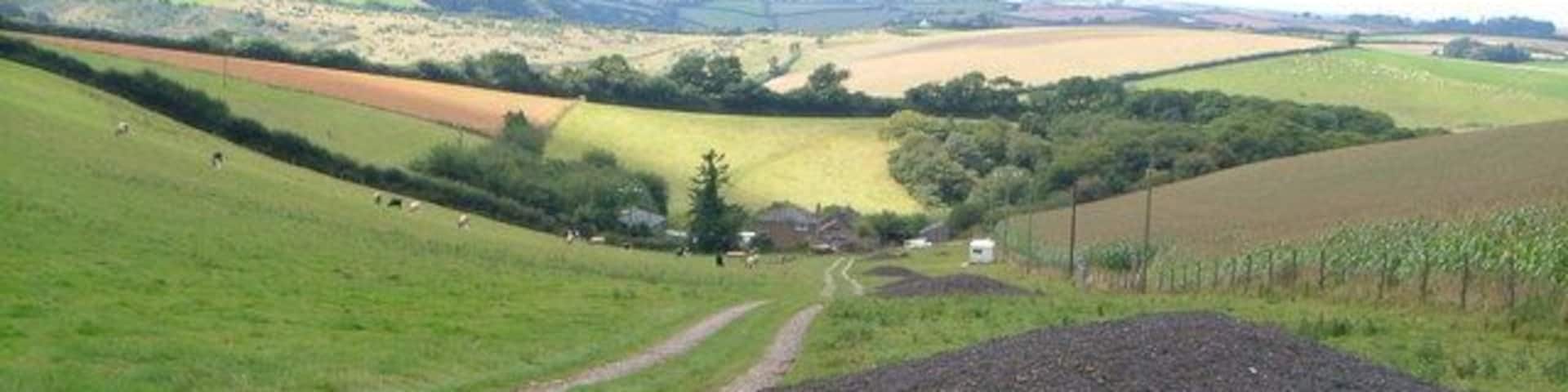Woolcombe Farm. The only buildings in this square, taken from outside, looking down the track leading from the A381 to the farm. The valley in which the farm sits swings right beyond it past Woolcombe Wood to join the Torr Brook.