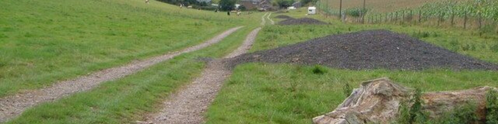Woolcombe Farm. The only buildings in this square, taken from outside, looking down the track leading from the A381 to the farm. The valley in which the farm sits swings right beyond it past Woolcombe Wood to join the Torr Brook.
