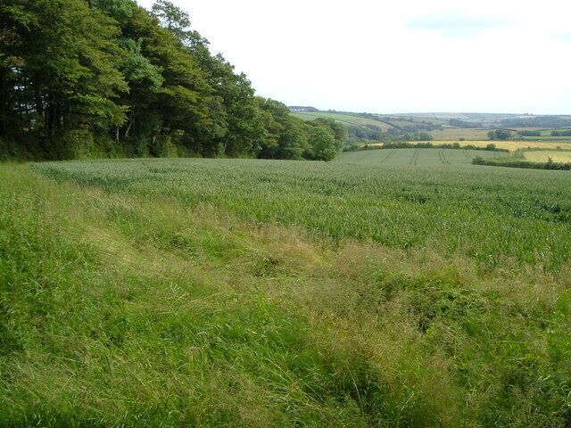 A grassy field with trees in the background.