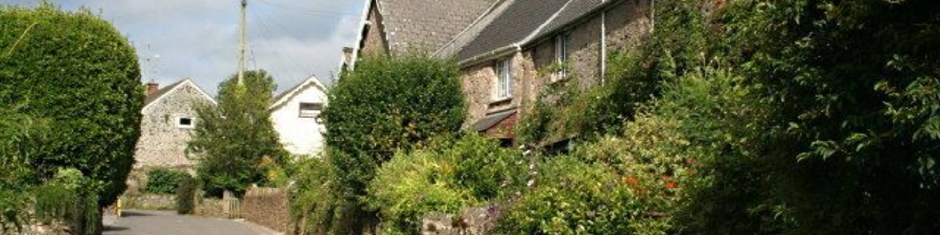 Ashprington Village Going uphill towards the village centre on the road from Bow Bridge.