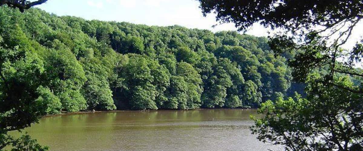 Dart Estuary at Stoke Gabriel.