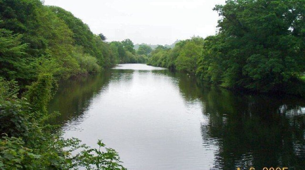 River Dart. The Dart near Dartington