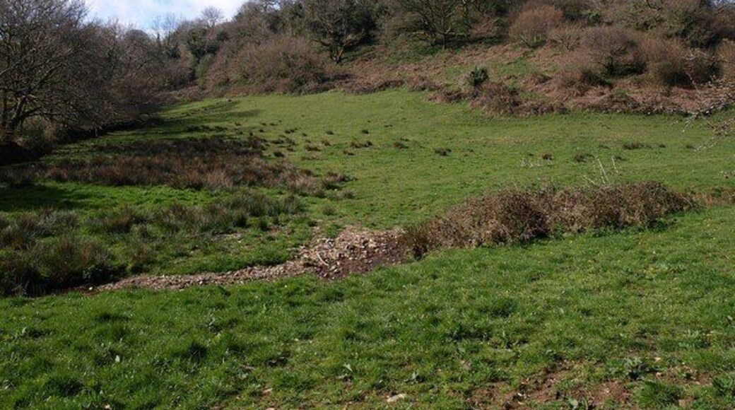 Boreston Copse. Seen from the green lane mentioned in 1242378, just west of the bridge. The Boreston Brook can be seen some 25 metres away flowing through the middle of the field. The valley it joins on the left of the copse looks rather larger.