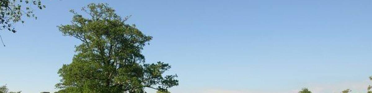 Charford. From close to where 1379877 was taken (looking the other way), buildings along the lane between Charford Manor and Charford Farm are seen across an irregularly-shaped field with some scattered trees. The map shows a number of small watercourses crossing the field, but they seem to be culverted.