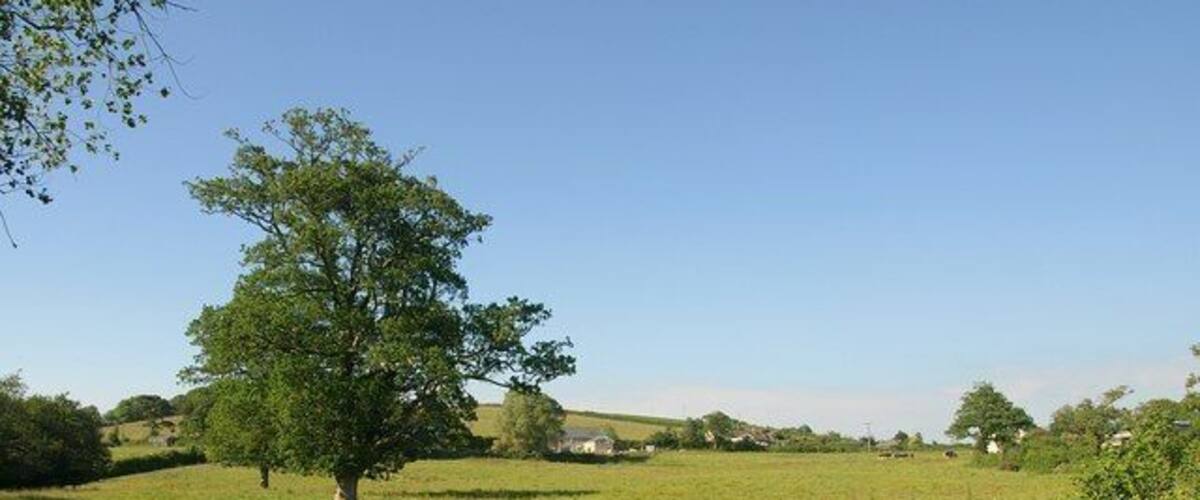 Charford. From close to where 1379877 was taken (looking the other way), buildings along the lane between Charford Manor and Charford Farm are seen across an irregularly-shaped field with some scattered trees. The map shows a number of small watercourses crossing the field, but they seem to be culverted.