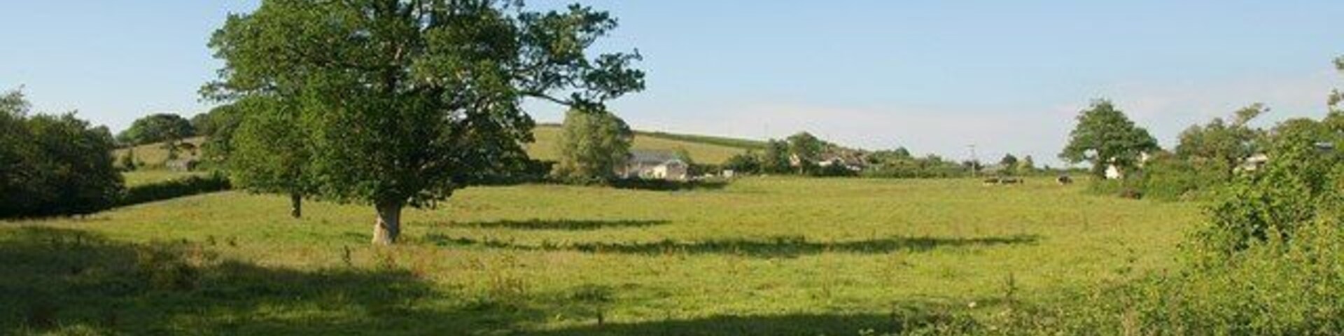 Charford. From close to where 1379877 was taken (looking the other way), buildings along the lane between Charford Manor and Charford Farm are seen across an irregularly-shaped field with some scattered trees. The map shows a number of small watercourses crossing the field, but they seem to be culverted.