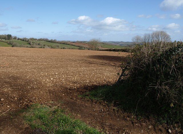 Field at Stanborough. The gatewy through which this was taken can just be seen on the left of 1242452, opposite the drive entrance. Across the valley of the Boreston Brook is Boreston, in SX7753.