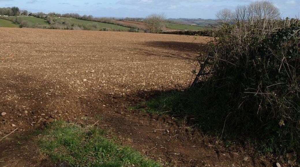Field at Stanborough. The gatewy through which this was taken can just be seen on the left of 1242452, opposite the drive entrance. Across the valley of the Boreston Brook is Boreston, in SX7753.