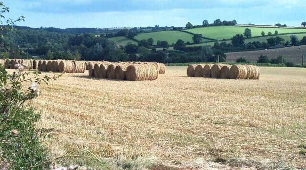 Harvest in at Fishacre Barton.