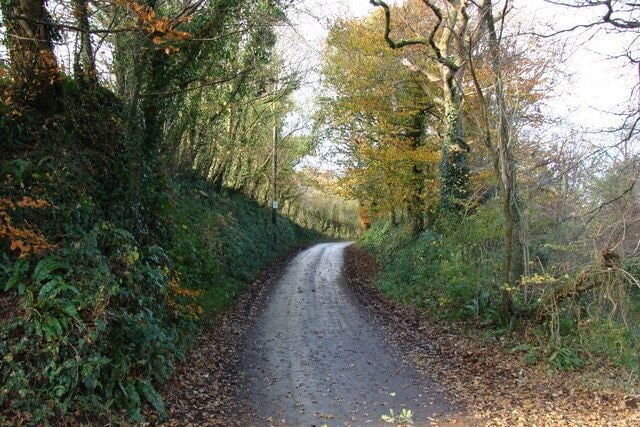 Looking up towards Bickham hamlet from Bickham Bridge