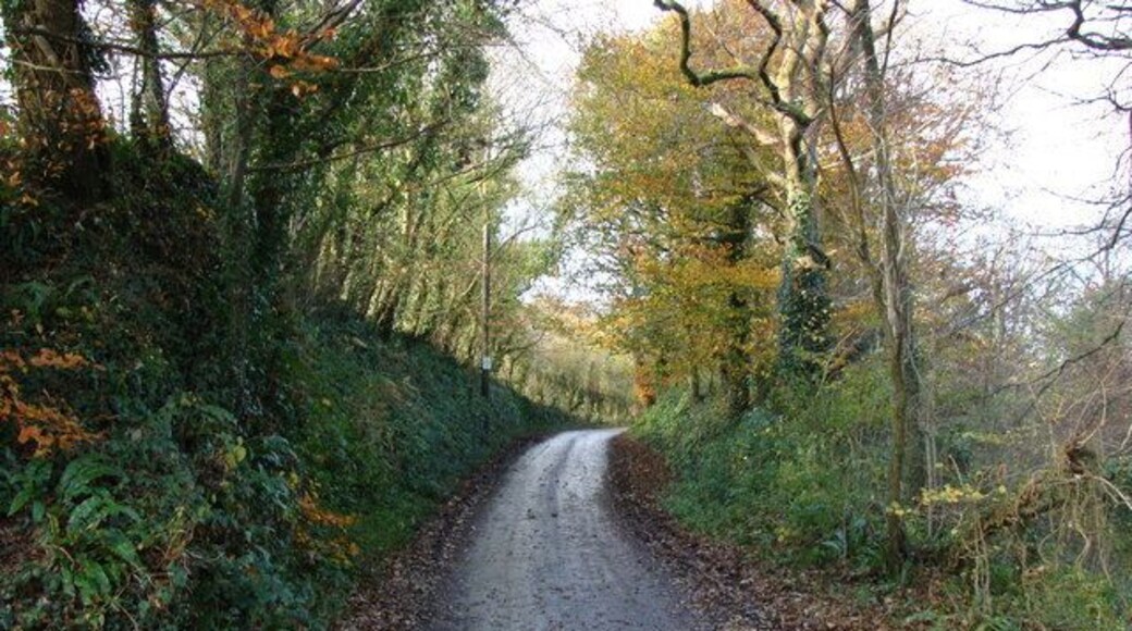 Looking up towards Bickham hamlet from Bickham Bridge