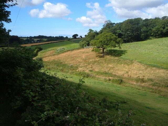 Winnowing Close Plantation. From Green Lane as it passes Quarry Park Plantation. the buildings in the left distance are around Yetsonais Farm.