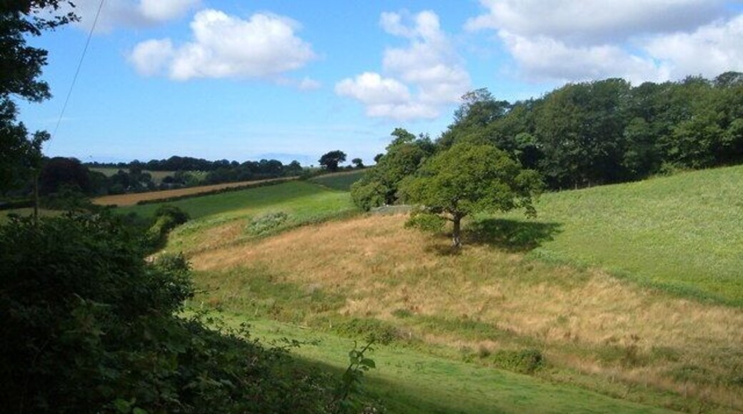 Winnowing Close Plantation. From Green Lane as it passes Quarry Park Plantation. the buildings in the left distance are around Yetsonais Farm.
