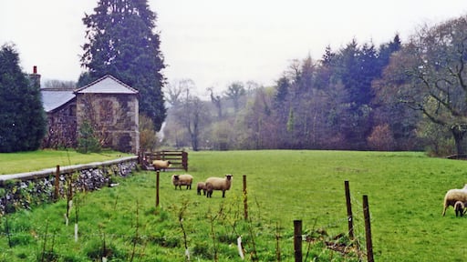 Remains of Gara Bridge station, 1995. View southward in Devon Avon Valley, towards Kingsbridge: ex-GWR Brent - Kingsbridge branch. Closed entirely withe the whole branch from 16/9/63, the station buildings and single platform have survived. An idyllic scene?