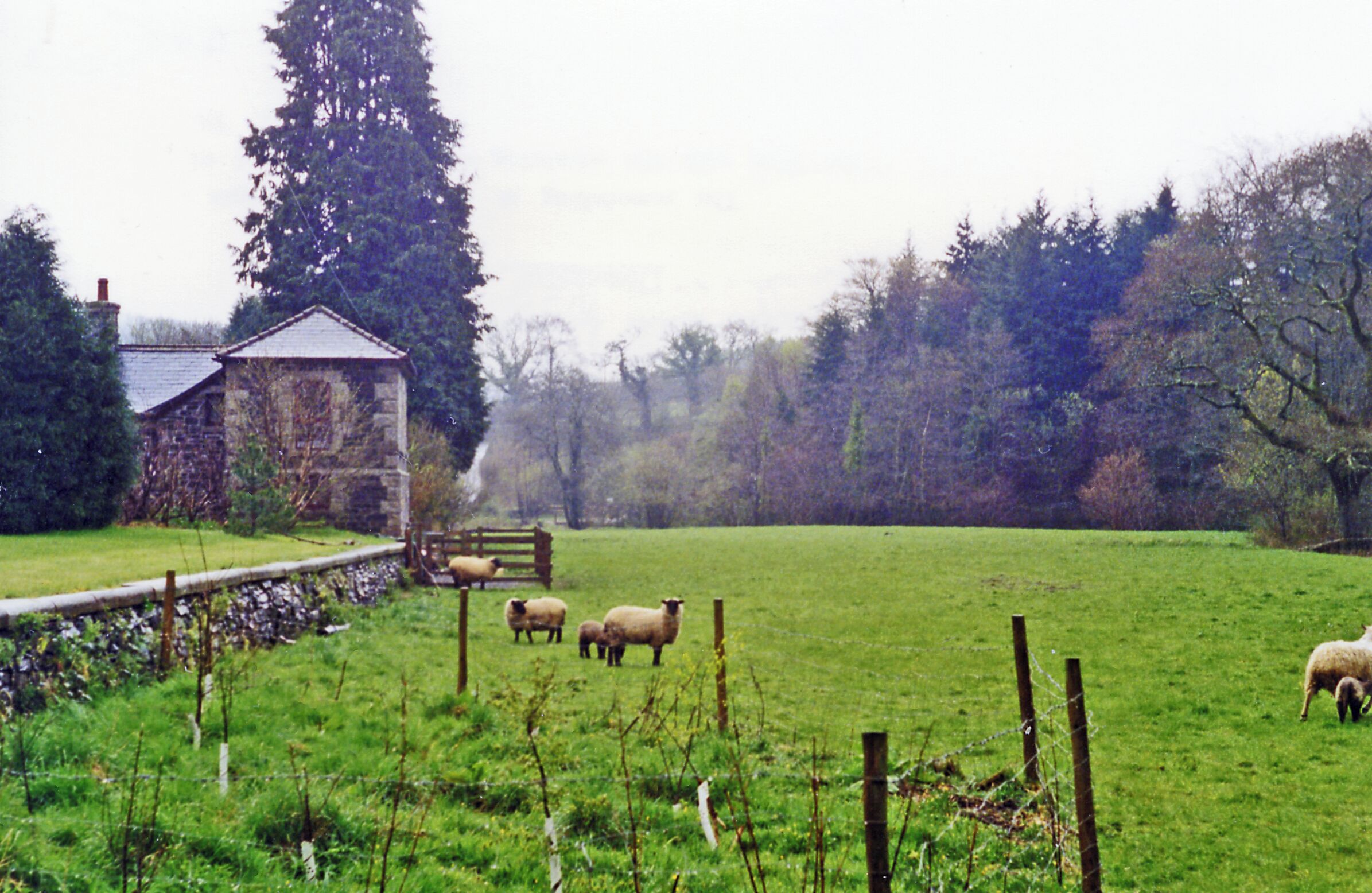 A rural landscape with a stone building, a wooden fence, and a grassy field with sheep.