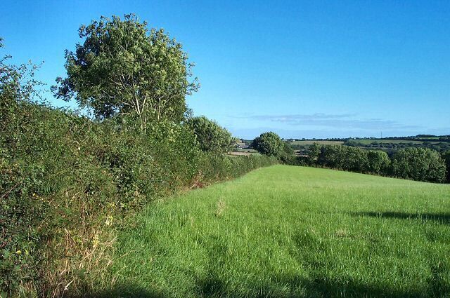 Fields near Curtisknowle. This is prime agricultural land for the South Hams. The terrain consists of grassy plateau with steep sided wooded valleys.