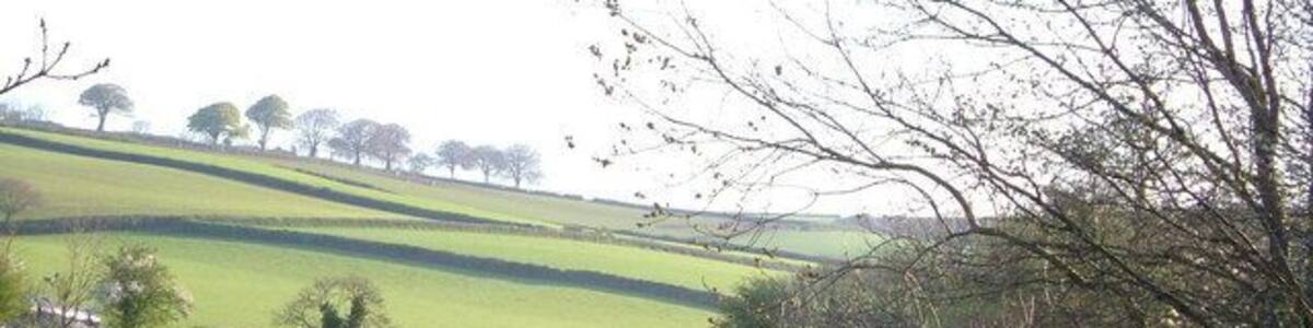 River Wash at Middle Washbourne. Scarcely meriting the name "river", the Wash heads downstream from the bridge at Middle Washbourne. Cows coming in for milking on left. 7:13 am.