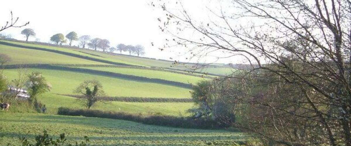River Wash at Middle Washbourne. Scarcely meriting the name "river", the Wash heads downstream from the bridge at Middle Washbourne. Cows coming in for milking on left. 7:13 am.