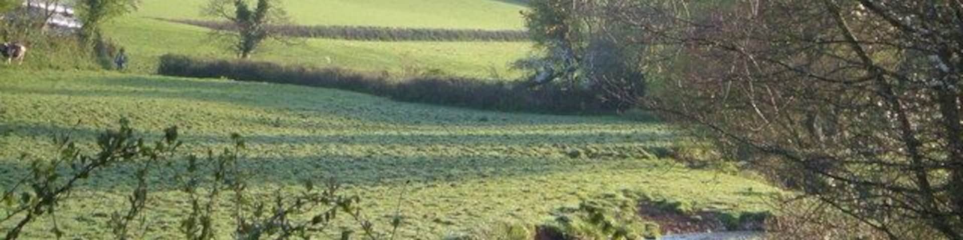 River Wash at Middle Washbourne. Scarcely meriting the name "river", the Wash heads downstream from the bridge at Middle Washbourne. Cows coming in for milking on left. 7:13 am.