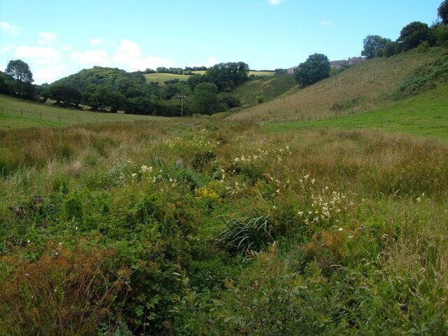 Valley near East Allington. Nutcombe Farm is on the hill to the right. The valley is destined to enter the Kingsbridge estuary about 3 miles away. View from the lane west of East Allington, near Tollditch.