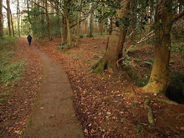 Path to Huxham's Cross. The concrete path, Dartington Footpath 21, climbs steadily past 1068968 on the right and Parsonage Copse on the left.