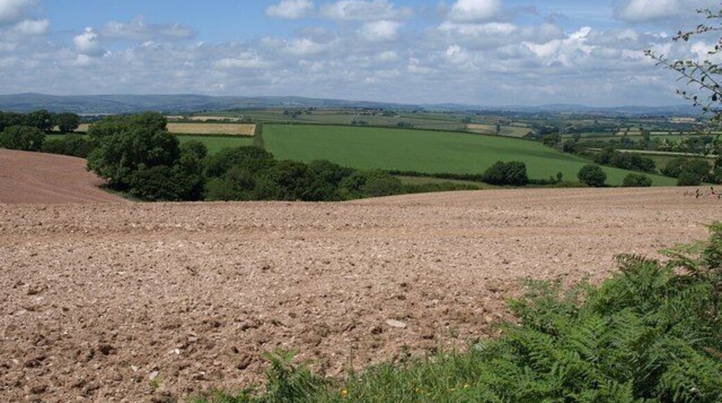 Ploughed field, Crabadon Cross It seems odd to see a field looking like this at midsummer. Beyond is a headwater valley of the Ashwell Brook, and a fine view to Dartmoor. Seen from a gate on the lane between Crabadon Cross and Crabadon Manor.