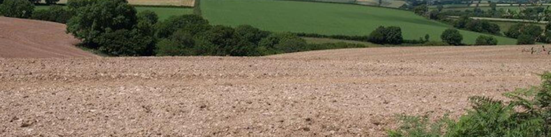 Ploughed field, Crabadon Cross It seems odd to see a field looking like this at midsummer. Beyond is a headwater valley of the Ashwell Brook, and a fine view to Dartmoor. Seen from a gate on the lane between Crabadon Cross and Crabadon Manor.
