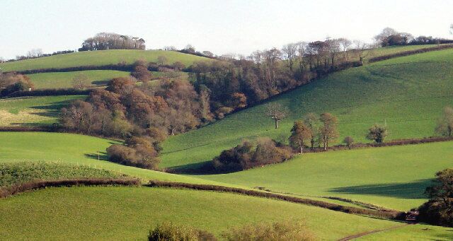 Lomentor Copse and hillside. Viewed from the north west across the Longcombe valley
