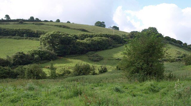 Hillside, Longcombe A view across the valley near Lower Longcombe from the lane down to Fleet Mill.