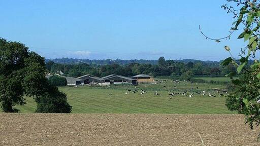 Oxstall Farm Seen from the top of Cowhorn Hill on the Trowbridge to Westwood road.