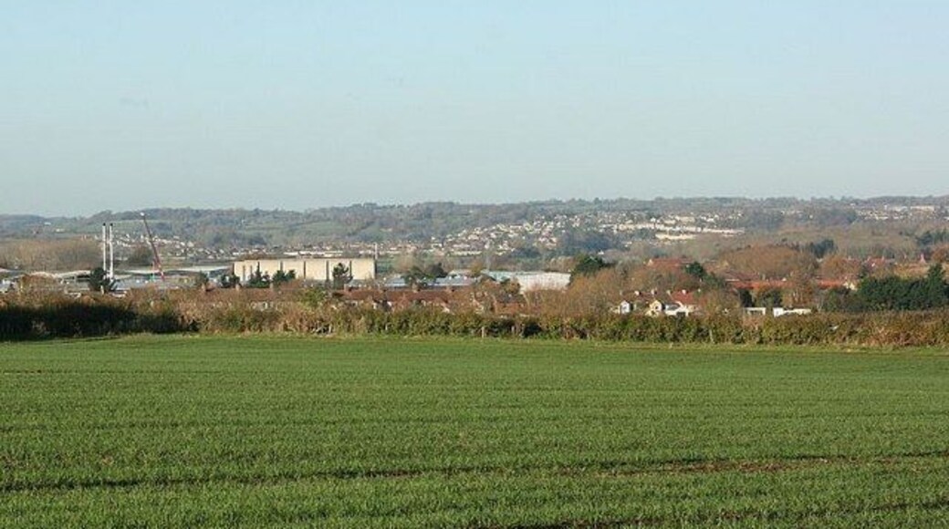 Wheatfield near Hilperton The field is full of newly sprung wheat developing for next year's crop. Houses in the right mid-distance are on Horse Road, Hilperton Marsh. The Kennet and Avon Canal and partly visible Hilperton Marina are about half a mile beyond, and the northern part of Bradford on Avon is spread over the distant hill.