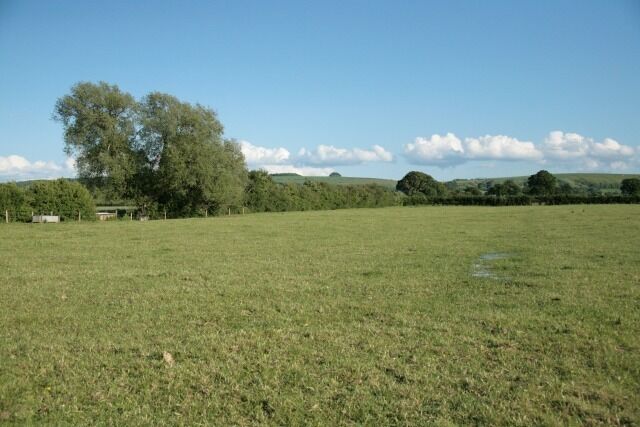 Field for cattle A herd of cattle were grazing in this field just before the image was taken. Obviously a little black box making clicky sounds wasn't sufficiently interesting so they all ambled off into the adjacent field.