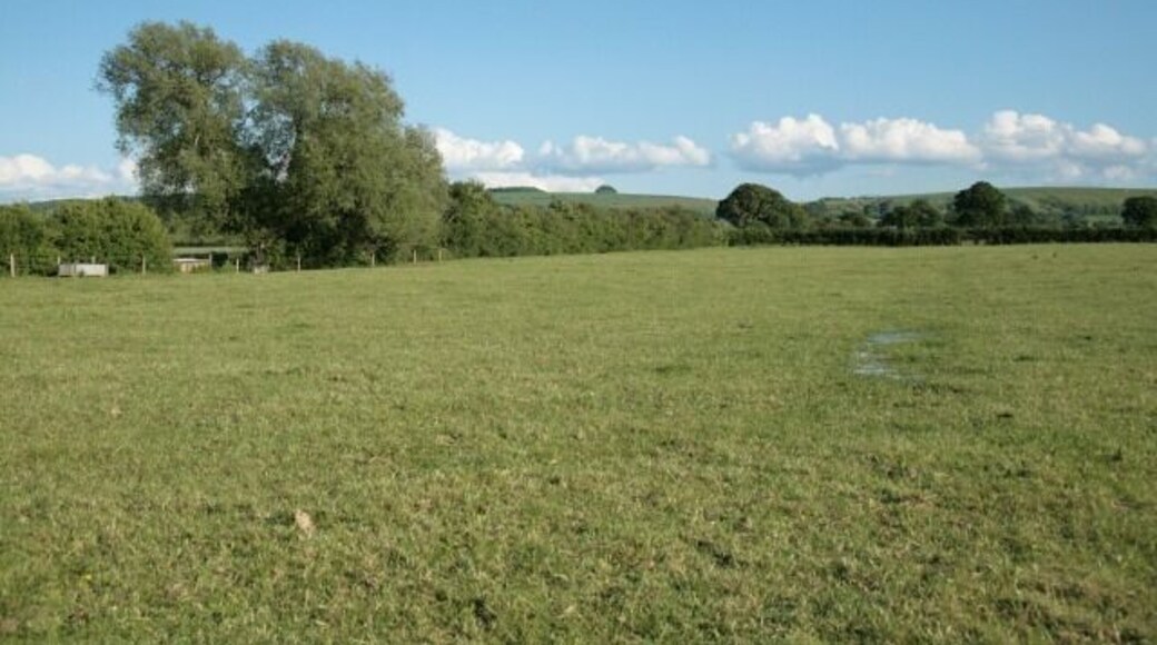 Field for cattle A herd of cattle were grazing in this field just before the image was taken. Obviously a little black box making clicky sounds wasn't sufficiently interesting so they all ambled off into the adjacent field.