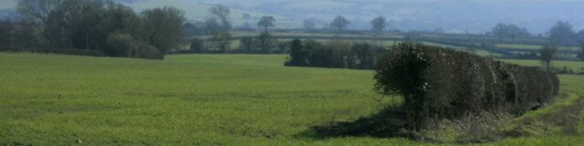 View south from Southbrook Lane Grass will start growing as the weather gets warmer. Cattle and sheep will be turned out into the fields. Cows especially can get quite excited when they are allowed out after being inside all winter. Keywords: hedgerows escarpment