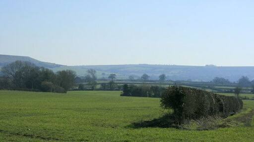 View south from Southbrook Lane Grass will start growing as the weather gets warmer. Cattle and sheep will be turned out into the fields. Cows especially can get quite excited when they are allowed out after being inside all winter. Keywords: hedgerows escarpment