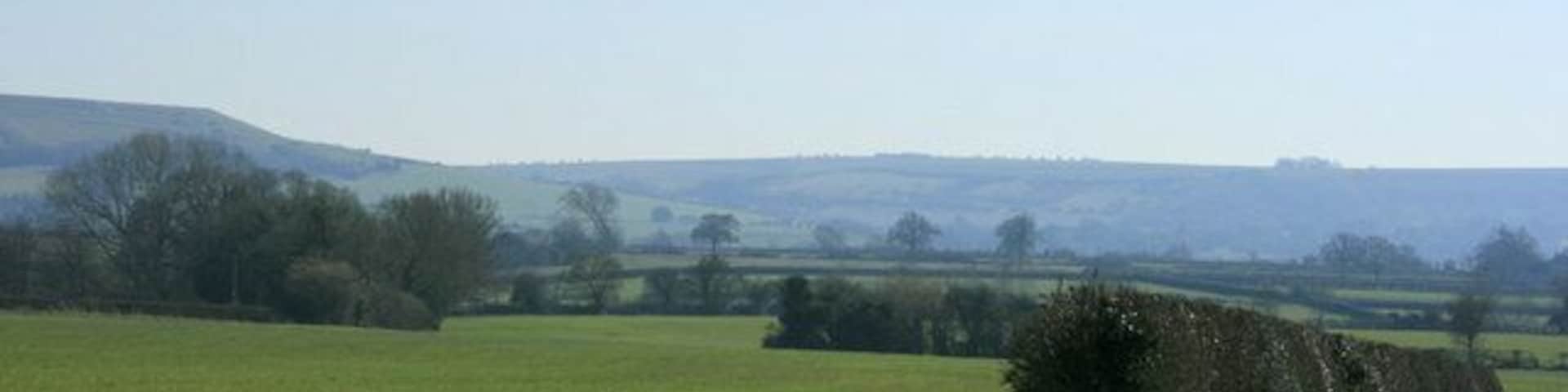 View south from Southbrook Lane Grass will start growing as the weather gets warmer. Cattle and sheep will be turned out into the fields. Cows especially can get quite excited when they are allowed out after being inside all winter. Keywords: hedgerows escarpment