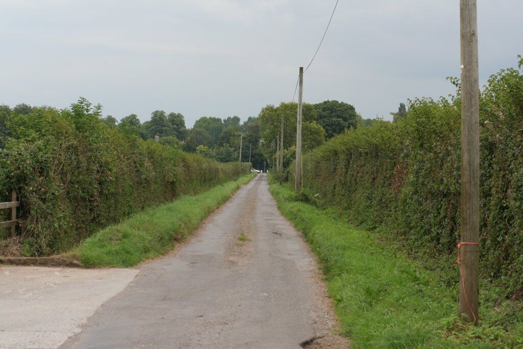 A narrow rural road flanked by dense hedgerows and utility poles.