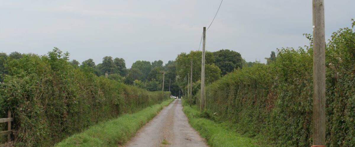 A narrow rural road flanked by dense hedgerows and utility poles.