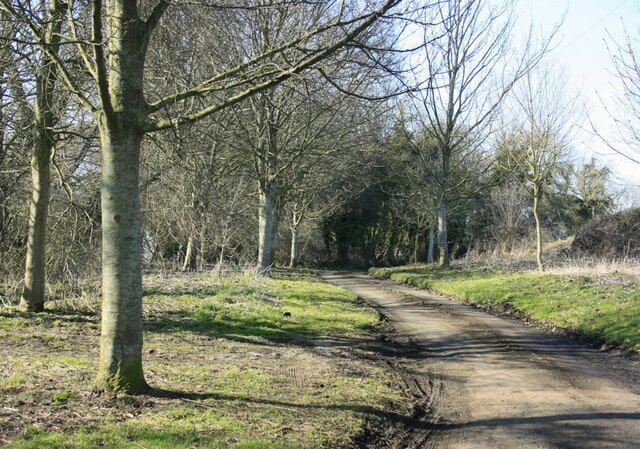 The end of Southbrook Lane The end of the metalled bit. Southbrook Lane continues as a bridleway and farm track south east from here joining the road to Edington further on.