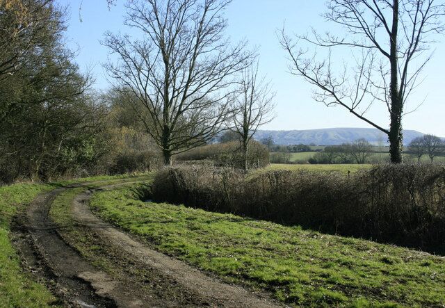 Continuation of Southbrook Lane As a farm track and footpath. The hill ahead is Bratton Down with the ancient camp behind the tree to the right. Keywords: track escarpment
